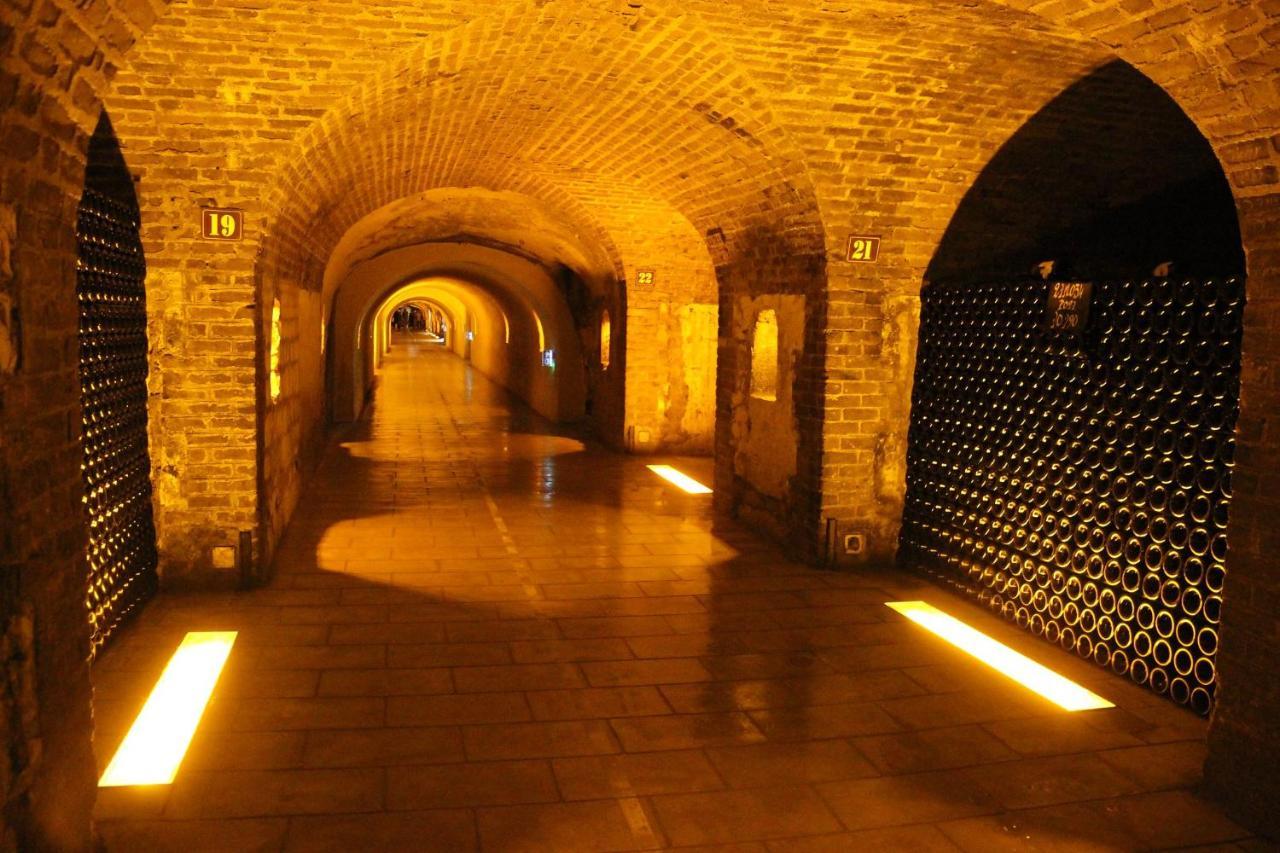Hotel De Champagne 에페르네이 외부 사진